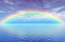 KOKapp手机app下载