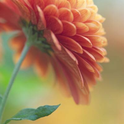 爱游戏ayx手机版登录入口